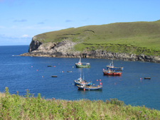 Irish Seascape Mayo